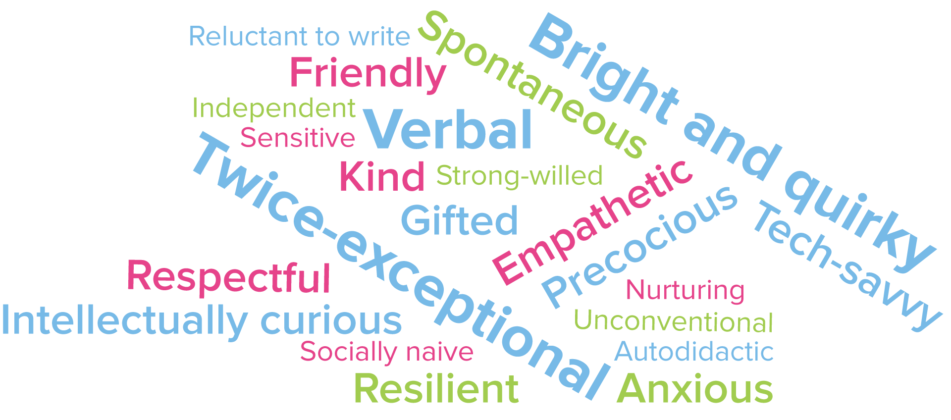 Wordcloud with student descriptors including twice-exceptional, gifted, and verbal