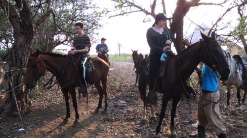 Horseback riding